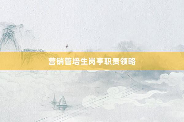 营销管培生岗亭职责领略