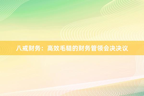 八戒财务：高效毛糙的财务管领会决决议